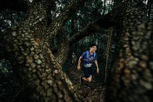 BIB: 
                            <button type="button" onclick="openModal(25679231)" class="btn btn-primary btn-sm float-right btn-popup" data-toggle="modal" data-target=".modal-high-quality">
                        <i class="fas fa-shopping-cart"></i> Add to Cart
                    </button>
                                            <button type="button" onclick="isThisMe(25679231, true)" class="btn btn-success btn-sm float-right btn-popup btn-isme hidden" data-toggle="tooltip" data-placement="bottom" title="นี่คือรูปของคุณใช่ไหม คลิกที่นี่เพื่อเอาเข้าอัลบั้ม">
                        <i class="fas fa-plus"></i> Add to album
                    </button>
                    <button type="button" onclick="isThisMe(25679231, false)" class="btn btn-warning btn-sm float-right btn-popup btn-isnotme hidden">
                        <i class="fas fa-ban"></i> Remove from album
                    </button>